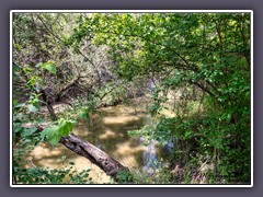 San Antonio - San Antonio River im Park der Mission San Juan