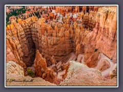 Abstieg zum Navajo Trail