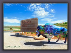 Antelope Island