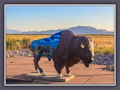 Antelope Island ist die größte Insel im großen Salzsee