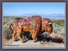 Antelope Island State Park