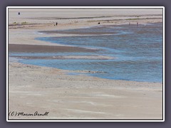 Badestrand auf Antelope Island