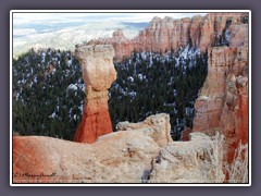 Bryce Canyon im Winter