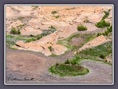 Colorado River - 2017 am Hite Overlook