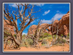 Double Arch Trail