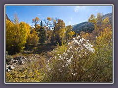 Herbst in Utah