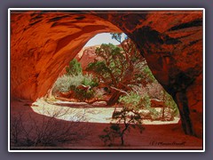 Navajo Arch