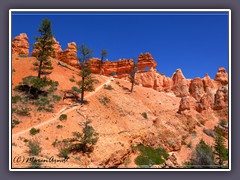 Mossy Cave Trail