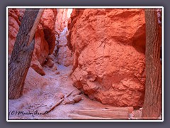 Slot Canyon