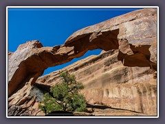 Wall Arch