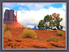 West MItten Butte