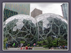 Amazon Spheres sind 3 kugelförmige Wintergärten