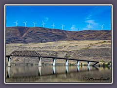 Blick über den Columbia River von Oregon nach Washington