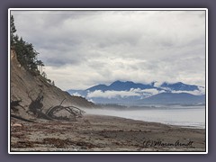 Dungeness Wilderness