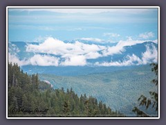 Hurricane Ridge - Olympic NP 