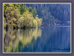 Lake Crescent Olympic NP