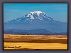 Mount Adam