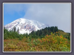 Mount Rainier 4392 m hoher Vulkan