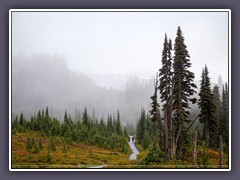 Mount Rainier im Nebel - Henry M. Jackson Memorial Visitor Center
