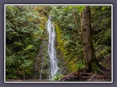 Olympic National Park - Madison Fall