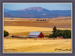 Rote Scheunen im Klickitat Valley 