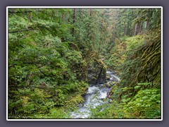 Sol Duc Fall Trail