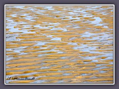 Ebbe im Wattenmeer