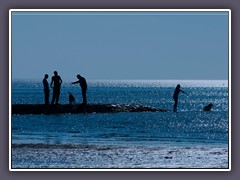 Erholung am Meer für Mensch und Tier