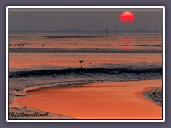 Farbenspektakel im Wattenmeer