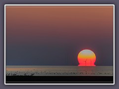 Fatamorgana an der Nordsee