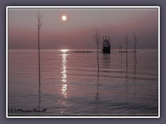 Heimkehr im Sonnenlicht