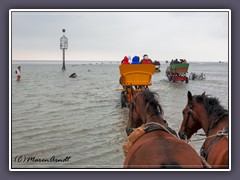 Rettungskorb im Watt