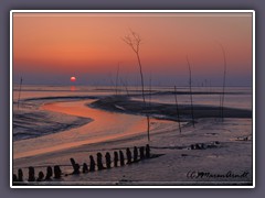 Tropischer Sonnenuntergang im Winter