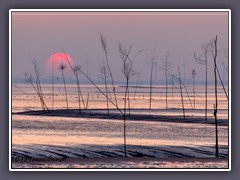 Untergehende Wintersonne