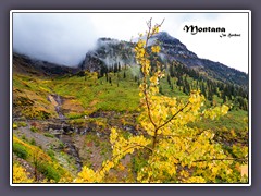 USA Montana im Herbst