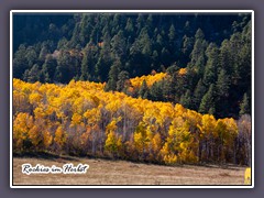 USA Rockies im Herbst