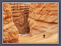 Bryce Canyon - Navajo Loop Trail