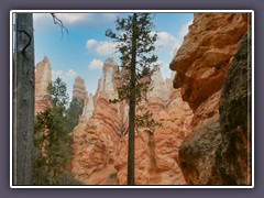Bryce Canyon - The Wall