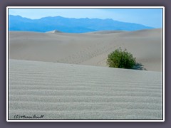 Death Valley - Mesquite Flat Sanddunes
