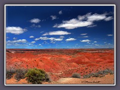 Painted Desert - Rote Bad Lands