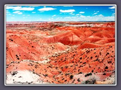 Painted Desert - rote Landschaft