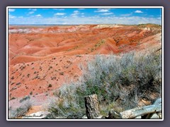 Painted Desert National Park - Arizona