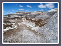 Painted Desert - Blue Mesa