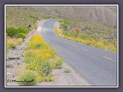 Death Valley - Emigrant Road