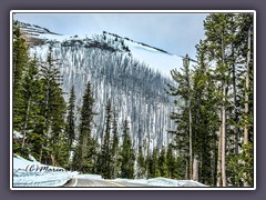 Dunraven Pass  - Mount Washborn