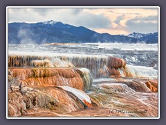 Mammoth Hot Springs 