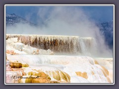 Mammoth Hot Springs - Canary Springs