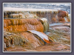 Mammoth Hot Springs - heiße Quellen