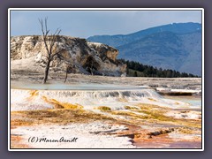 Mammoth Hot Springs - New blue Spring