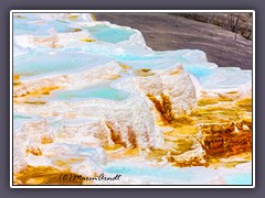Mammoth Hot Springs - Sinter Terrassen